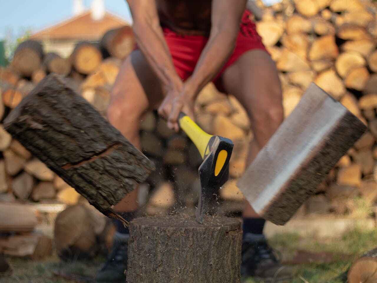 Palm Tree Trimming